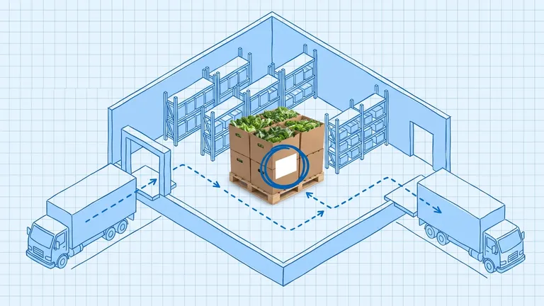 Blueprint-style isometric plan on pale-blue grid paper of a cold room with pallet racking between an inbound truck at the receiving dock and an outbound truck at the shipping dock, a dashed route linking them; at the centre a photographed pallet of brown produce cases filled with leafy greens, its blank white case label circled in dark blue