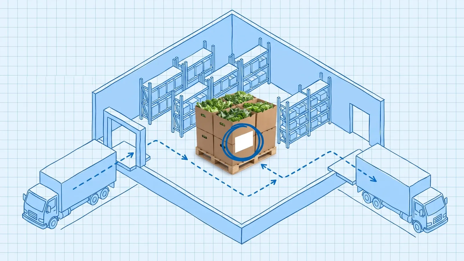 Blueprint-style isometric plan on pale-blue grid paper of a cold room with pallet racking between an inbound truck at the receiving dock and an outbound truck at the shipping dock, a dashed route linking them; at the centre a photographed pallet of brown produce cases filled with leafy greens, its blank white case label circled in dark blue